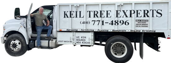 White utility truck with “KIEL TREE EXPERTS” sign and phone number, driver standing in the cab opening