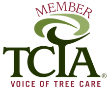 TCIA member logo with green tree emblem and maroon text “Voice of Tree Care”