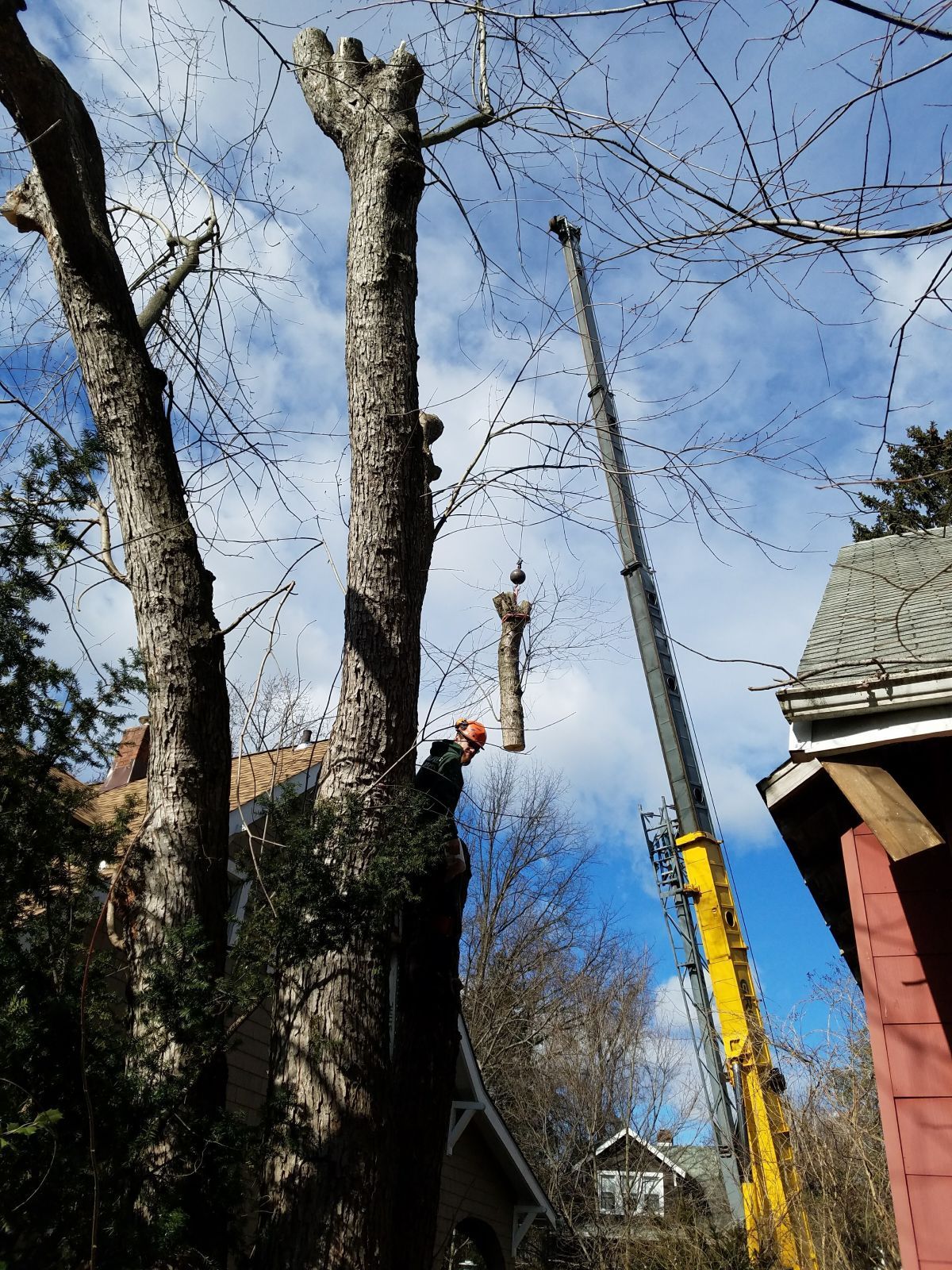 Crane lifting a tree section near a house; worker in orange vest trimming tree.