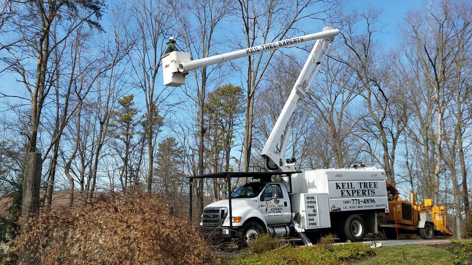 A white truck with a crane on top of it is cutting trees.