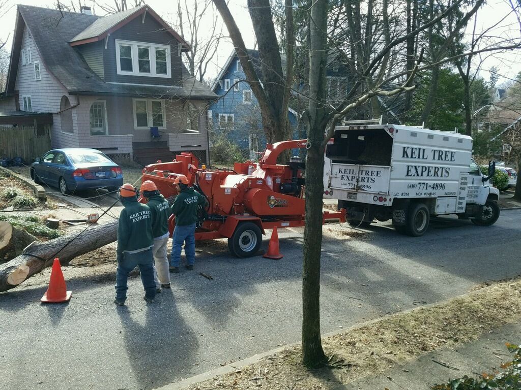 A key tree experts truck is parked in front of a house