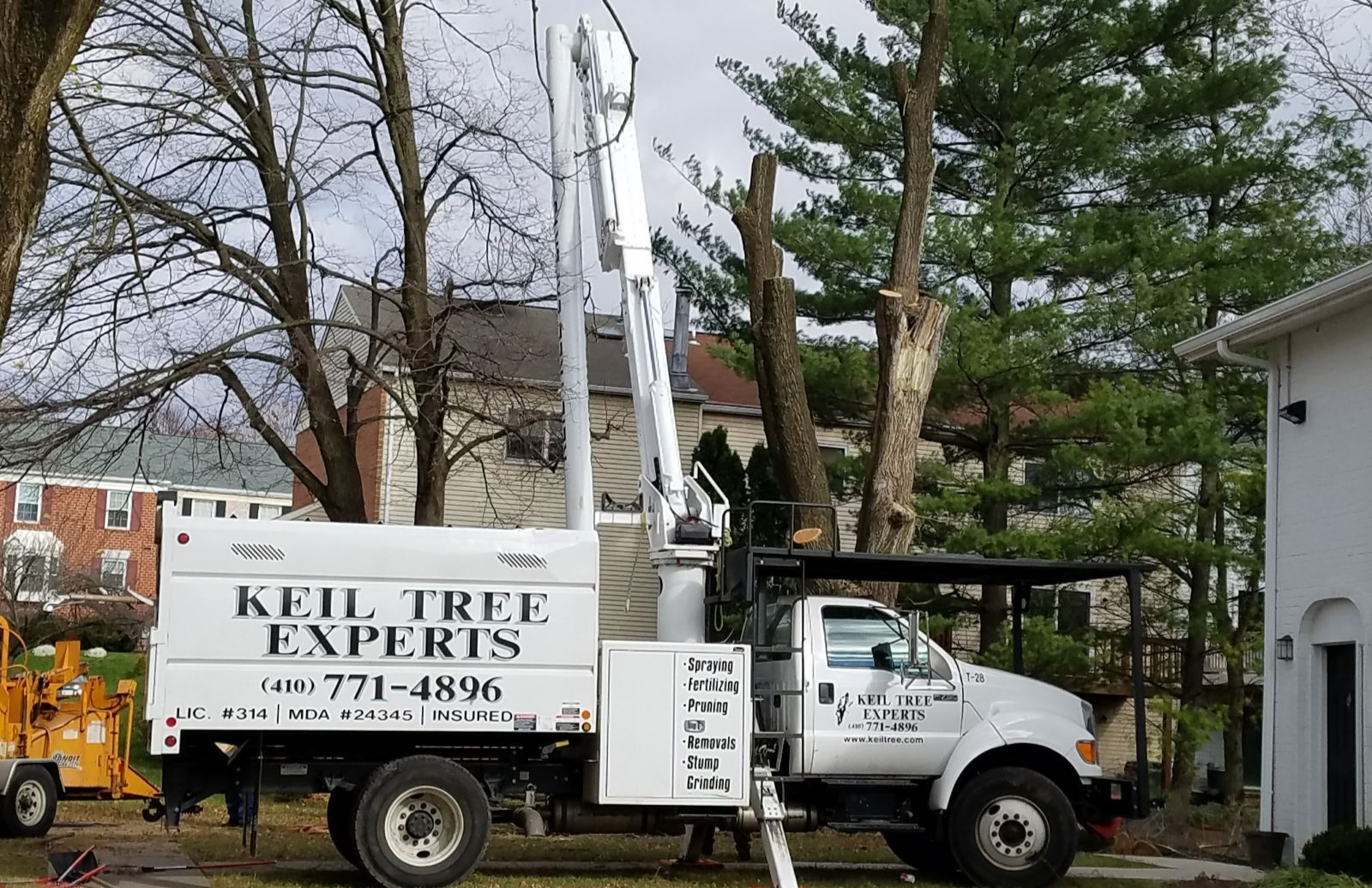 Worker in green jacket spraying around a tree beside a white service truck on a grassy lawn