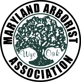 Maryland Arborist Association logo with a green tree and the words “Wye Oak” in the center