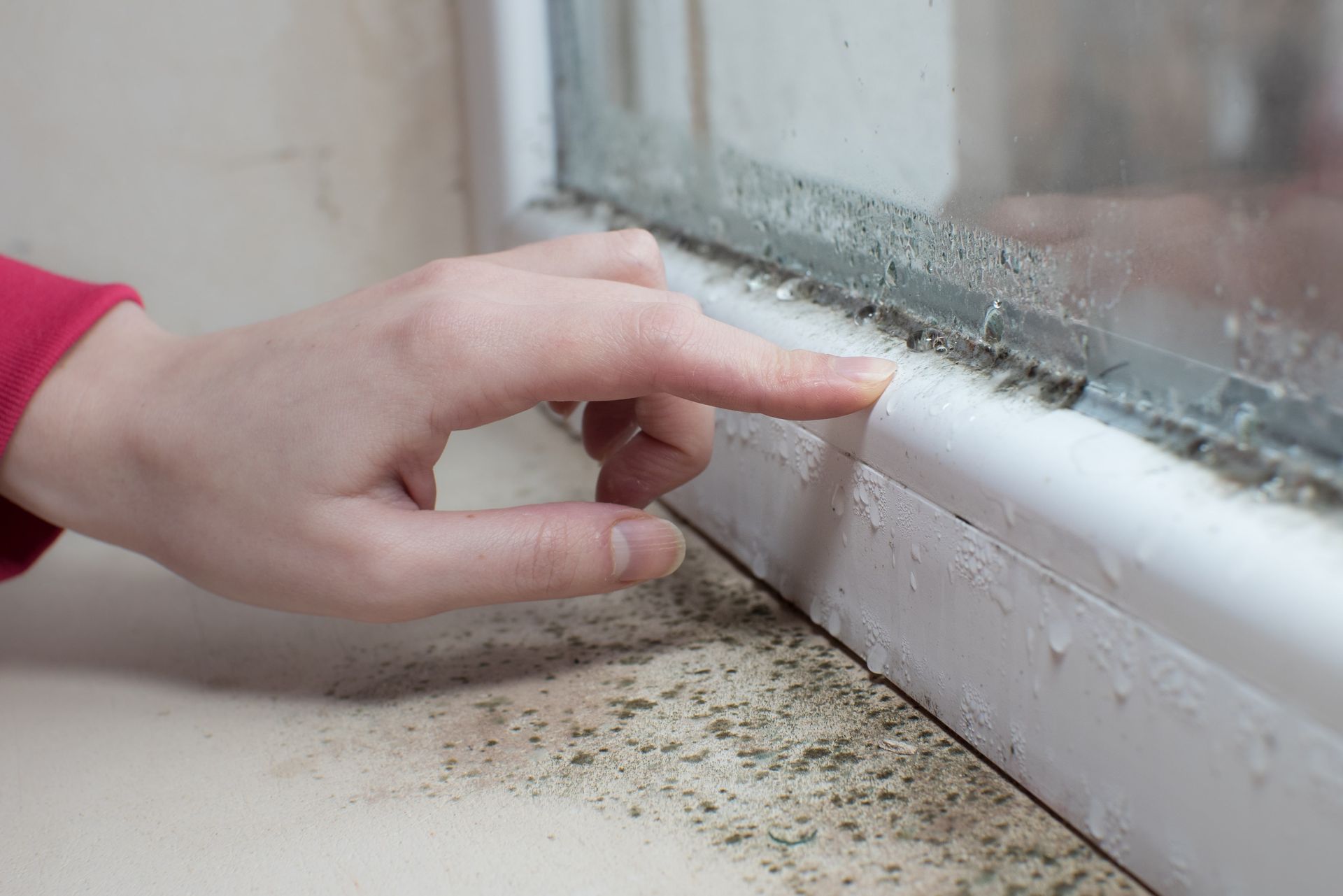 A person is pointing at a window sill with mold on it.