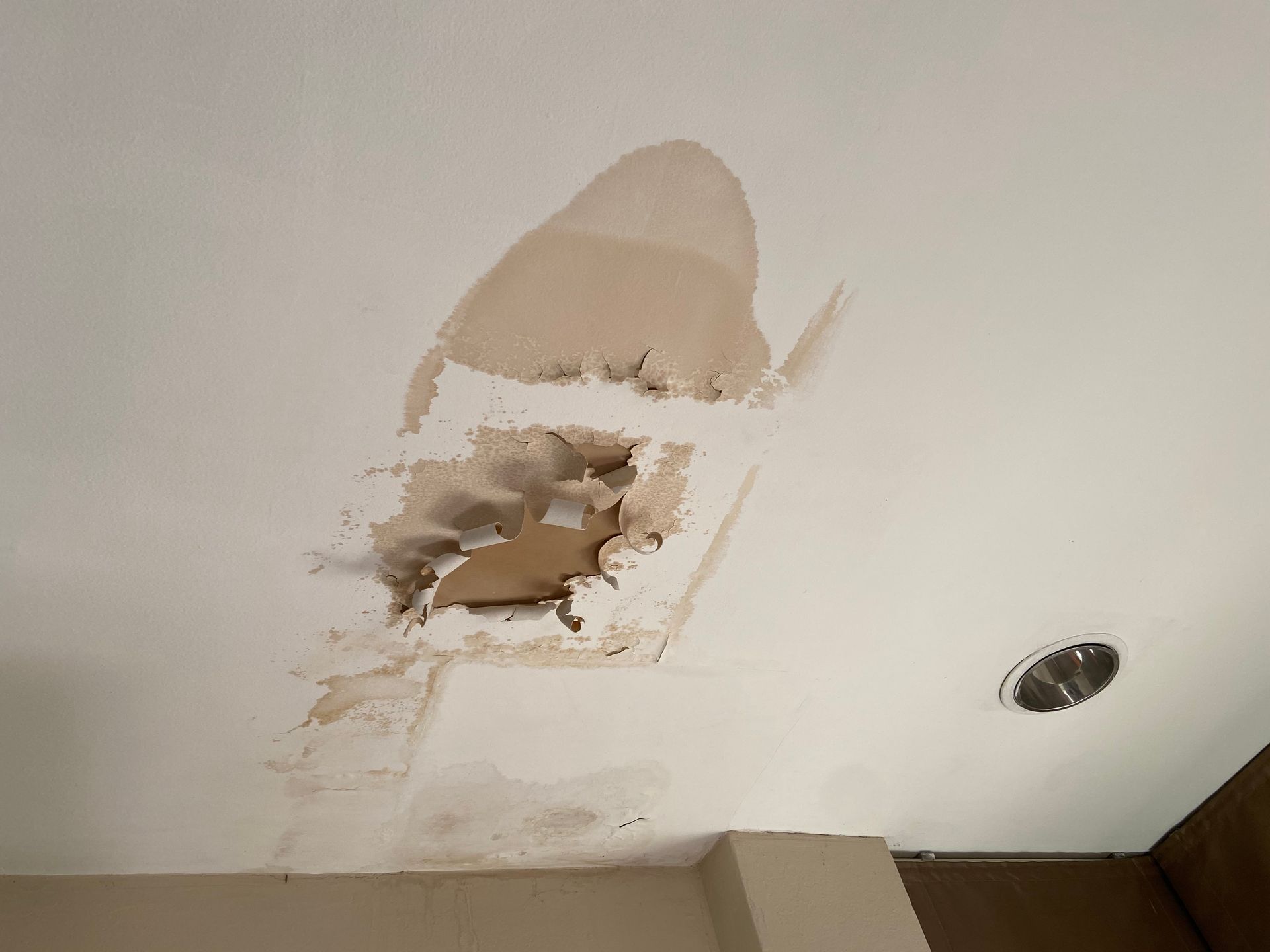 There is a hole in the ceiling that looks like a shark.