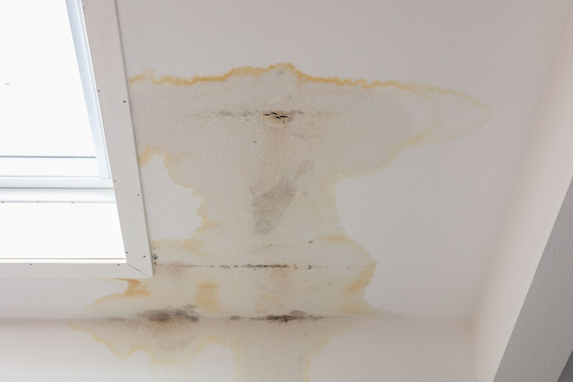 water damage resulting in mould on a wall