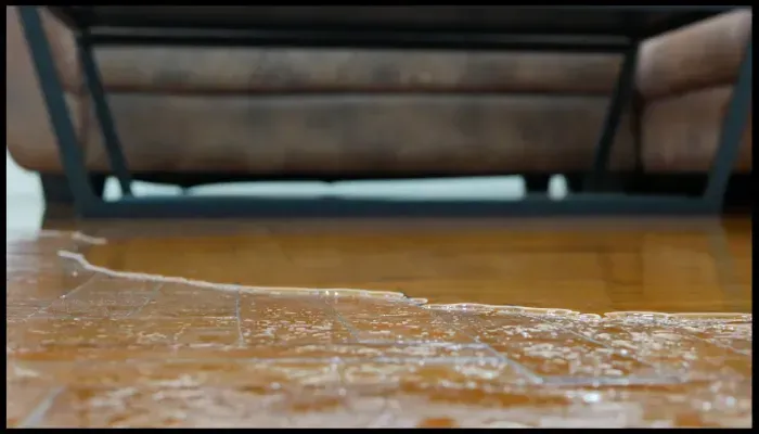 Water damage on a hardwood floor near a sofa, indicating potential restoration needs.