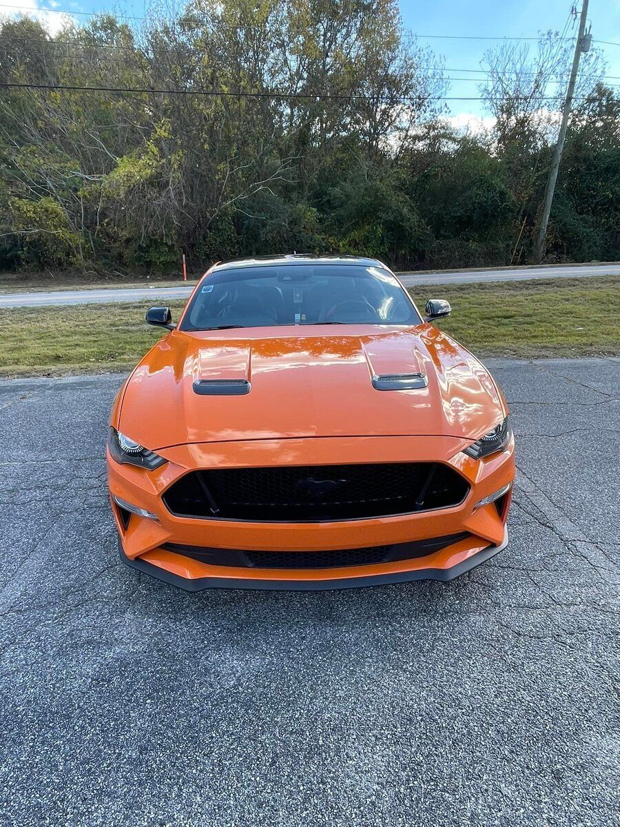 Paint Protection Film Services