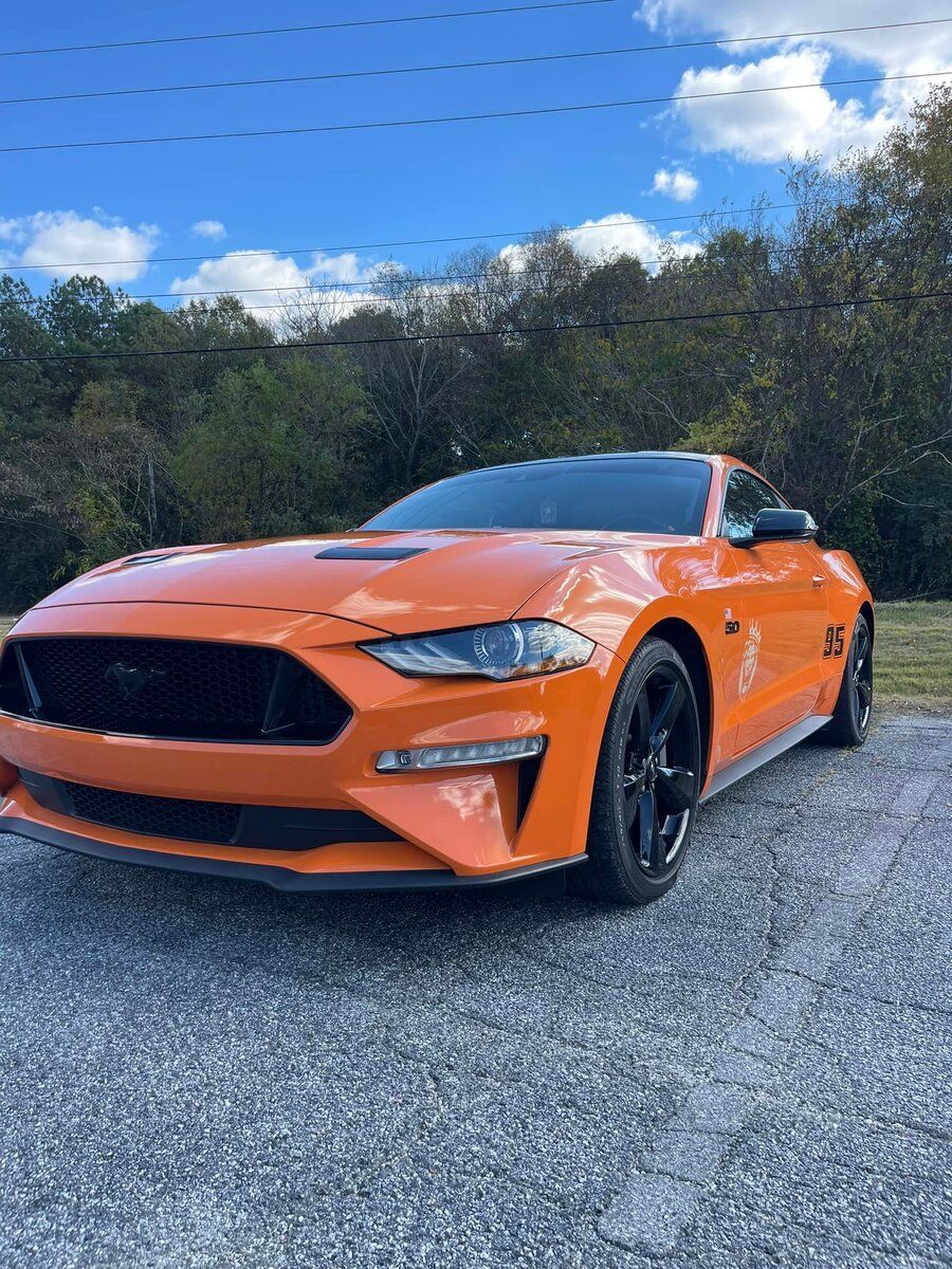 Paint Protection Film Services