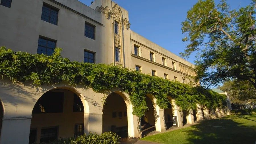 Sunlit ivy-covered building with arched walkway and trees beside a grassy path