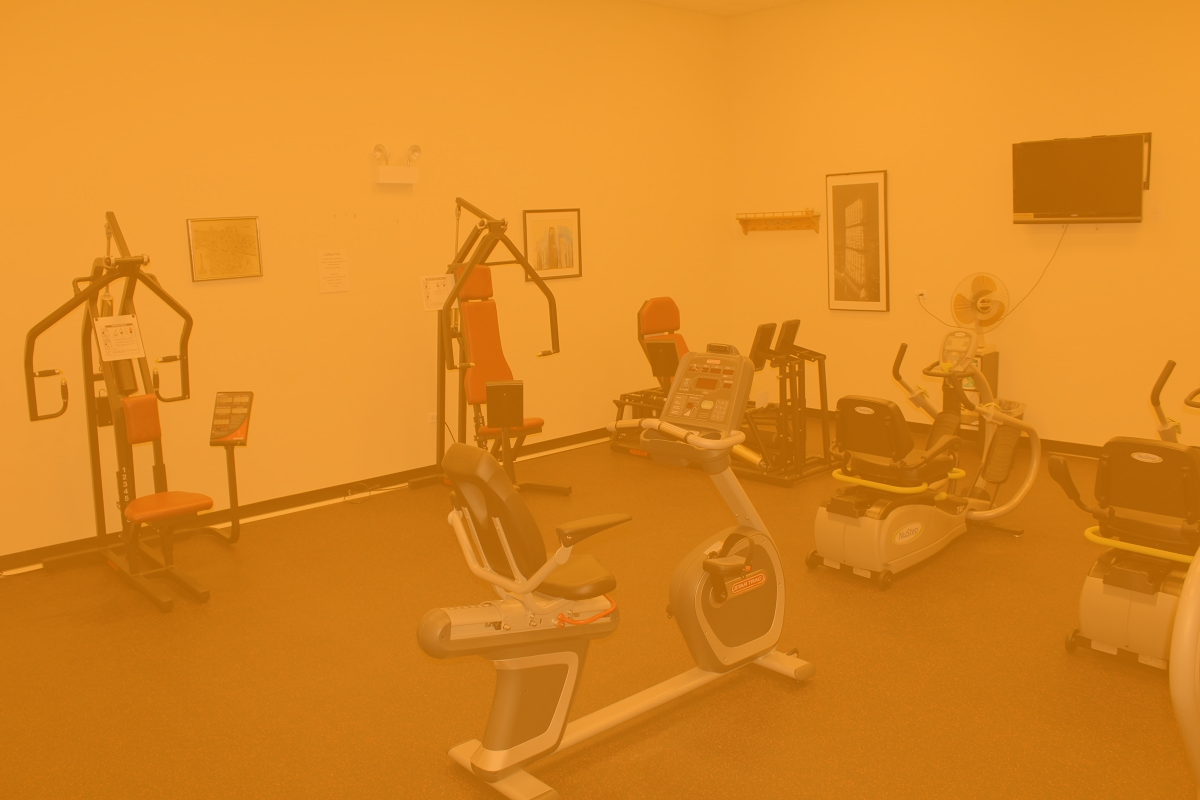 Gym with exercise equipment: machines for chest, arms, legs, and cardio. Brown floor, tan walls.
