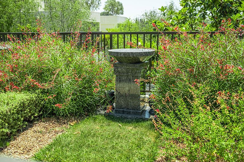 Hillside Memorial Park