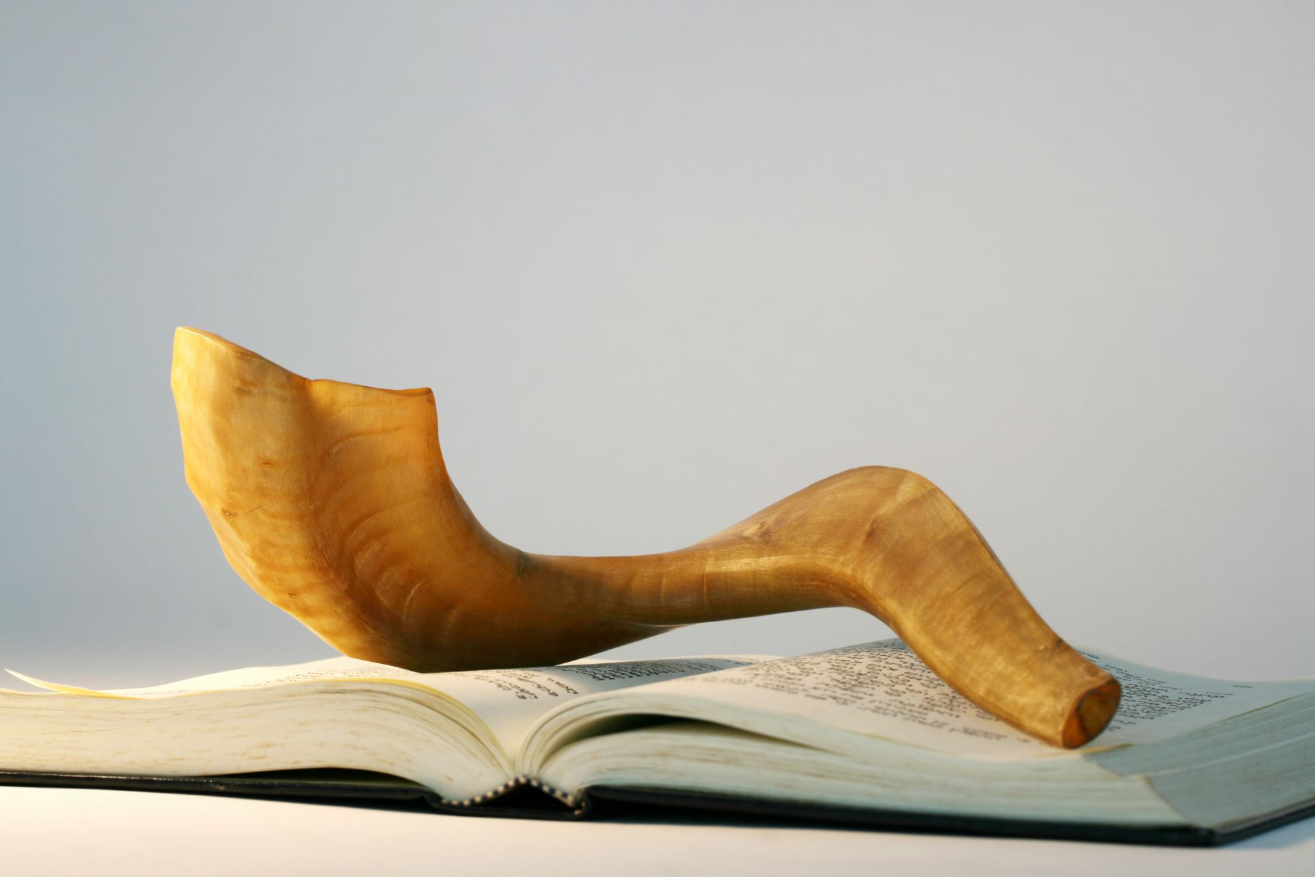Shofar horn rests on an open book, both illuminated with warm light, against a plain background.