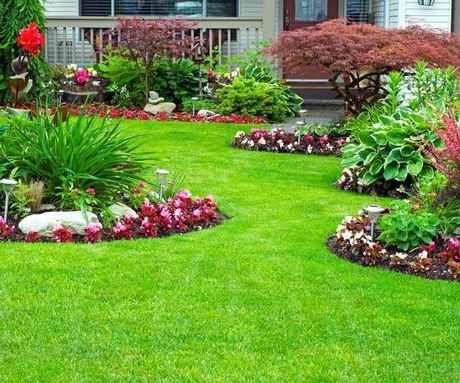 Home and Garden