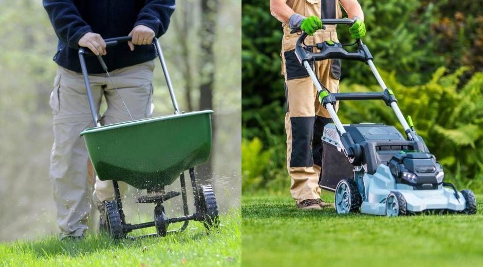 diy-vs-professional-lawn-care