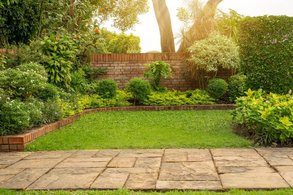 lawncare lake nona services