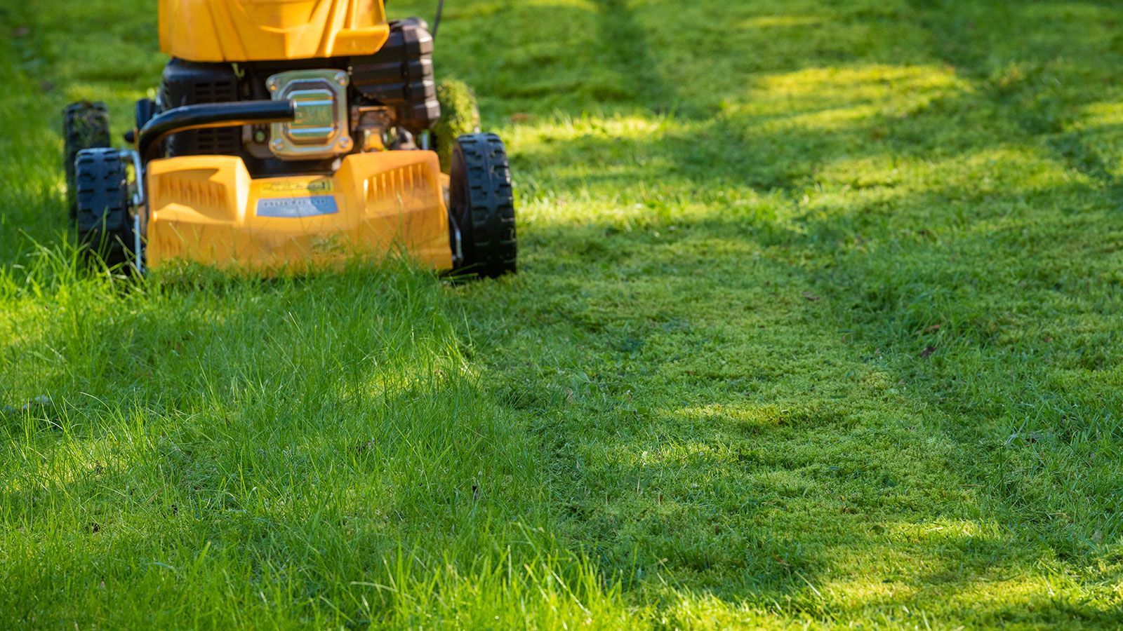 lawn mower