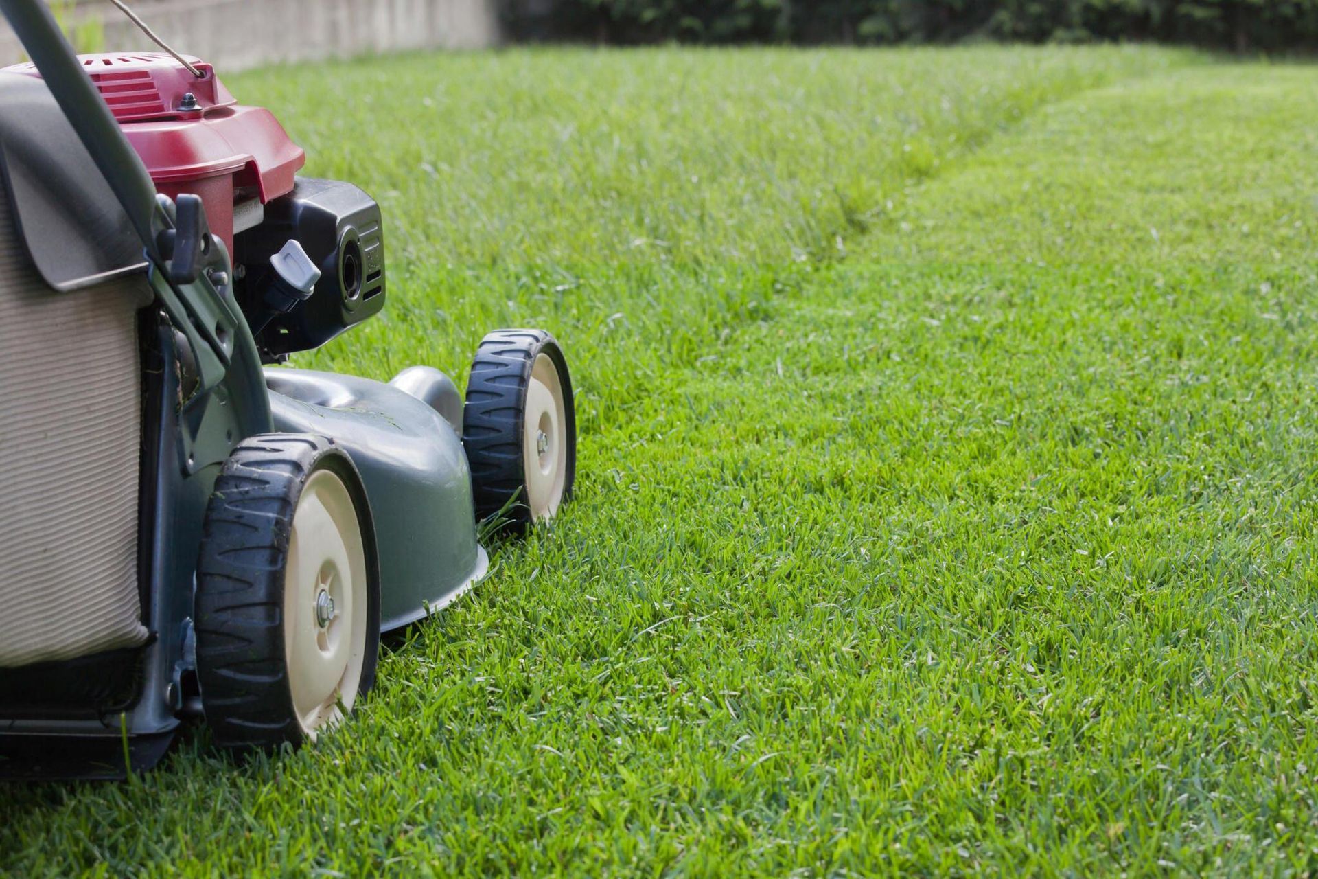 mowing the grass