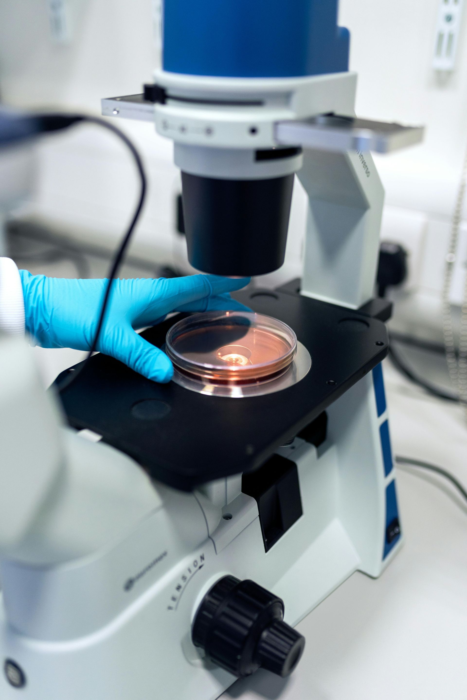 LABORATORIOS CASTRO - PERFILES HORMONALES