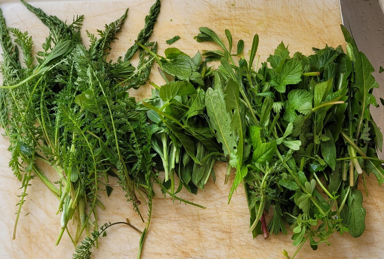 Verse groene kruiden opgestapeld op een houten snijplank.