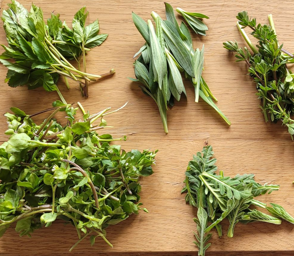 Diverse verse groene kruiden, in kleine bosjes gerangschikt op een houten snijplank.