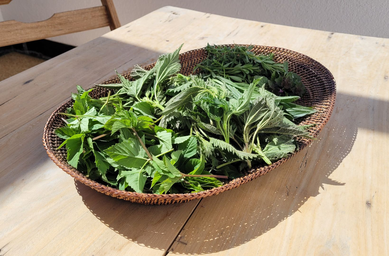 Een mand met verse groene kruiden op een houten tafel in de zon.