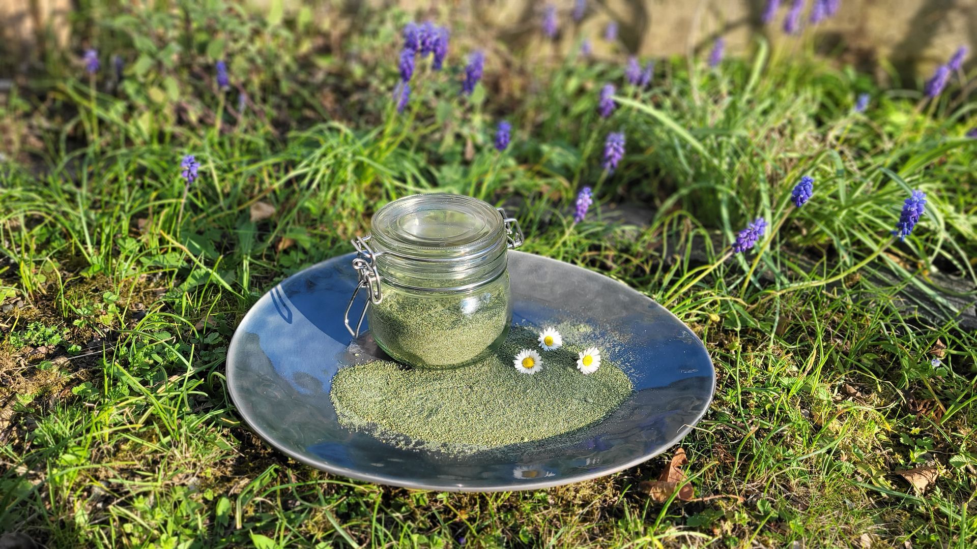 Glazen pot op een reflecterende metalen plaat in het gras, met kleine witte voorwerpen en paarse bloemen in de buurt.