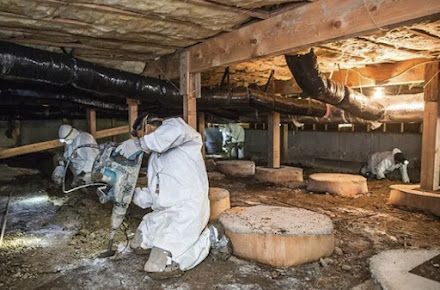 Image of a basement that needs restoration
