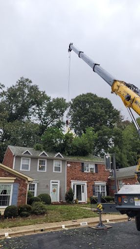 A crane is lifting a tree in front of a house.