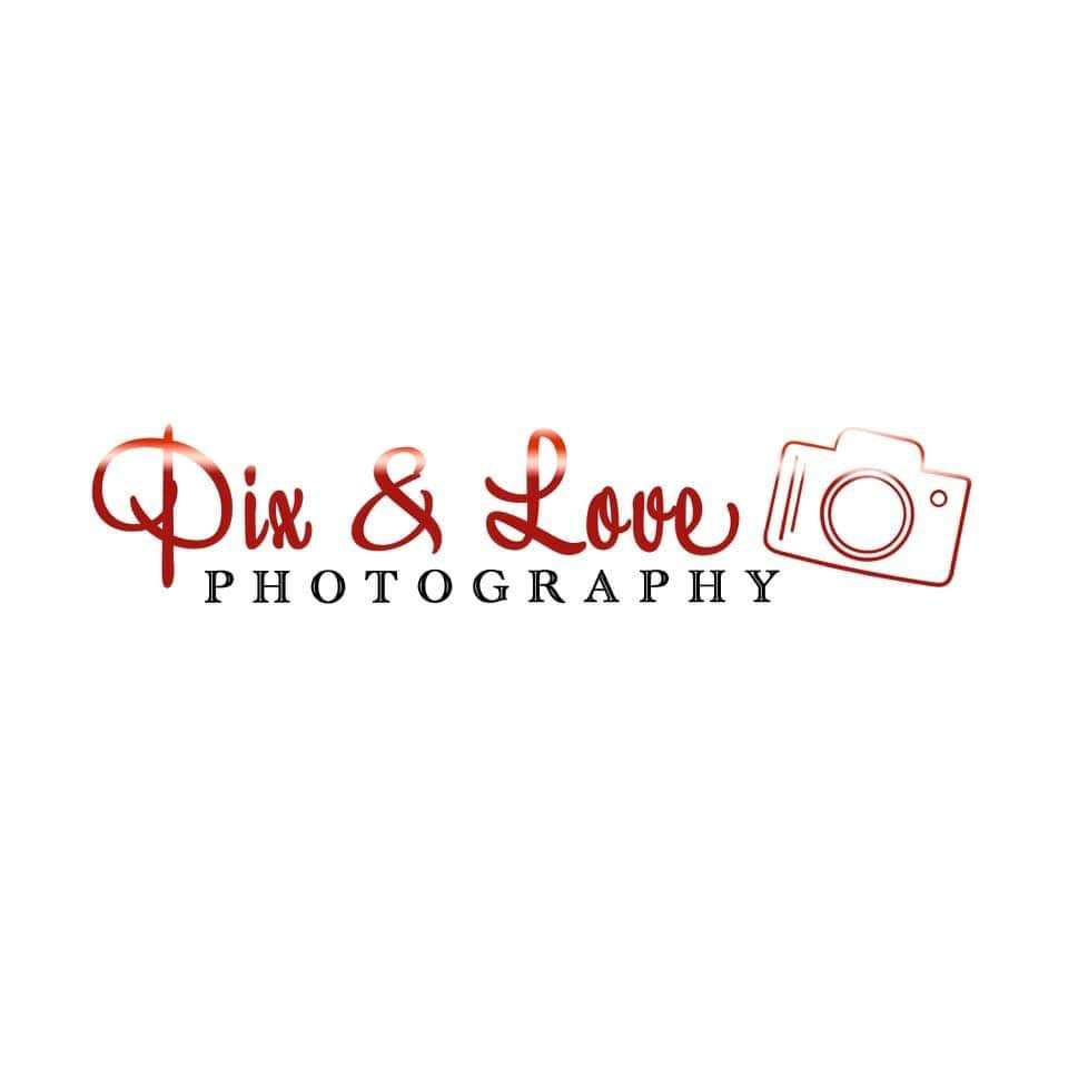 Un logo pour la photographie pix & love avec un appareil photo sur fond blanc.