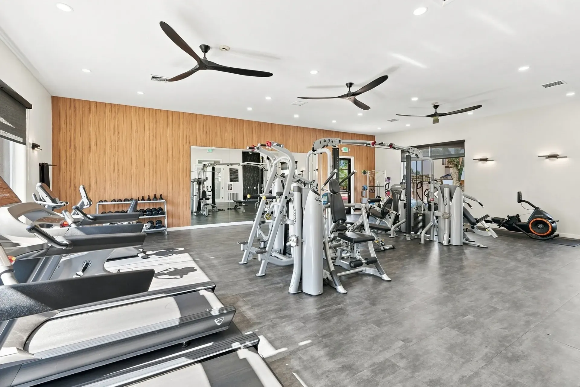 Modern apartment gym with treadmills, weight machines, and fans at Broadstone Heights, offering apartments in Albuquerque, NM.