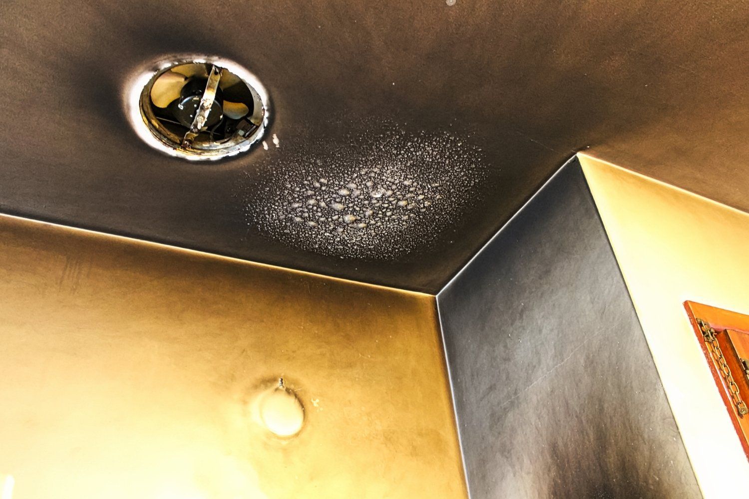 The Advantages of Hiring a Fire Remediation Services