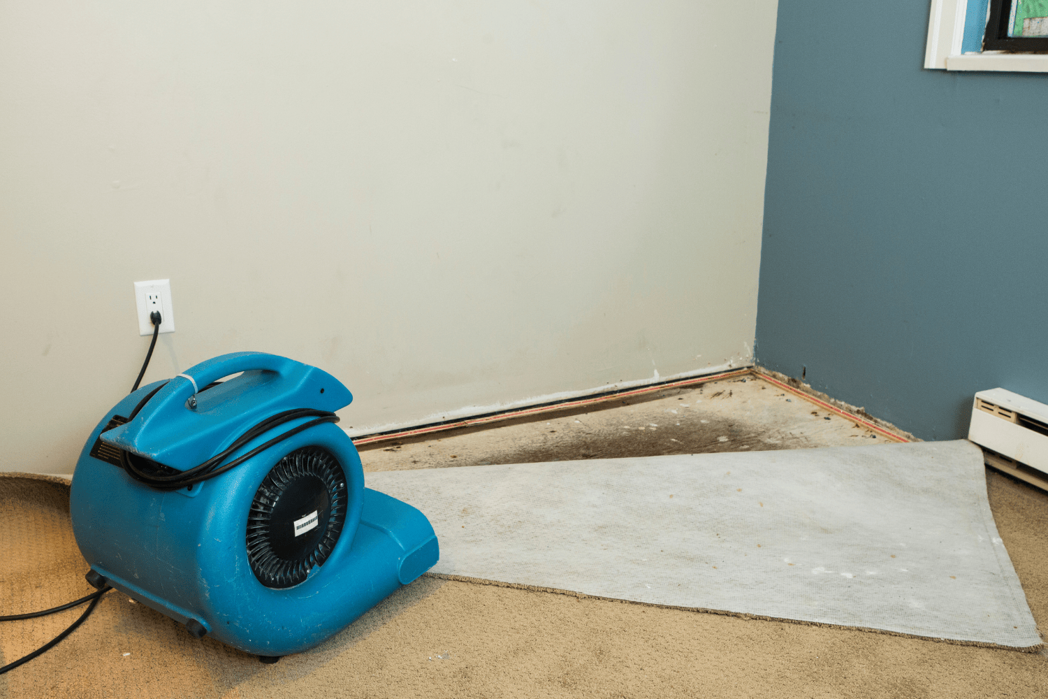 Why It&rsquo;s Essential to Call a Flood Damage Cleanup Company After a Flood