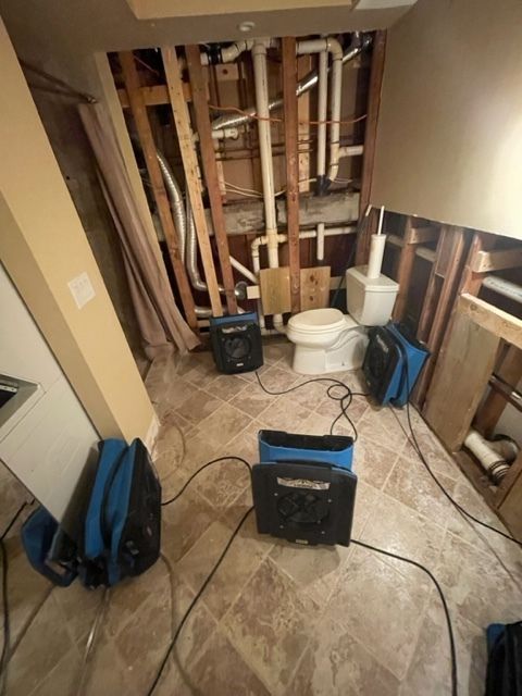 Mold After a Storm: Why Mold Grows Fast & How to Prevent It | Dry Out Pro