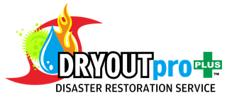 Dryoutpro plus Stuart Fl