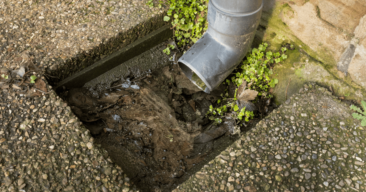 Preventing Flood Damage: Tips and Strategies for Homeowners