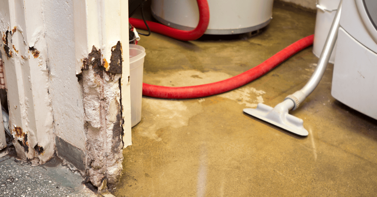 A Complete Guide to Water Damage Cleanup and Restoration in Port St. Lucie, FL