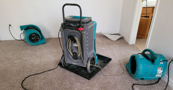 How Will I Know if Water Damage is Serious?