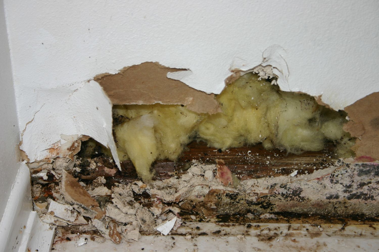 How To Tell If Your Drywall Is Water Damaged