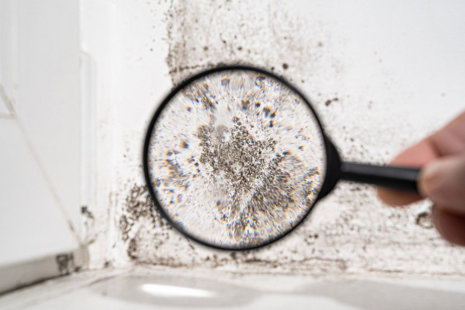 10 Mold Prevention Techniques for Your Property