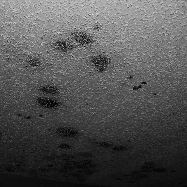 Mold Removal In Martin County