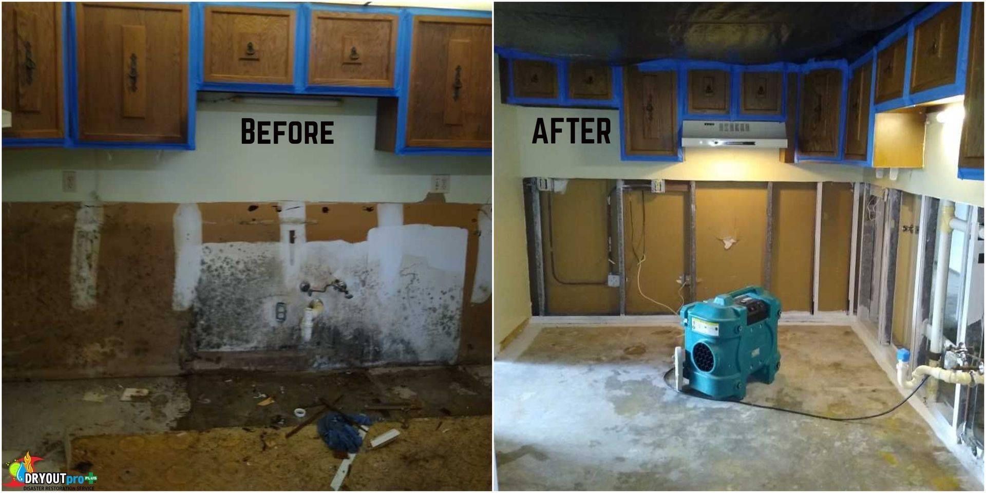 Mold removal stuart, Fl