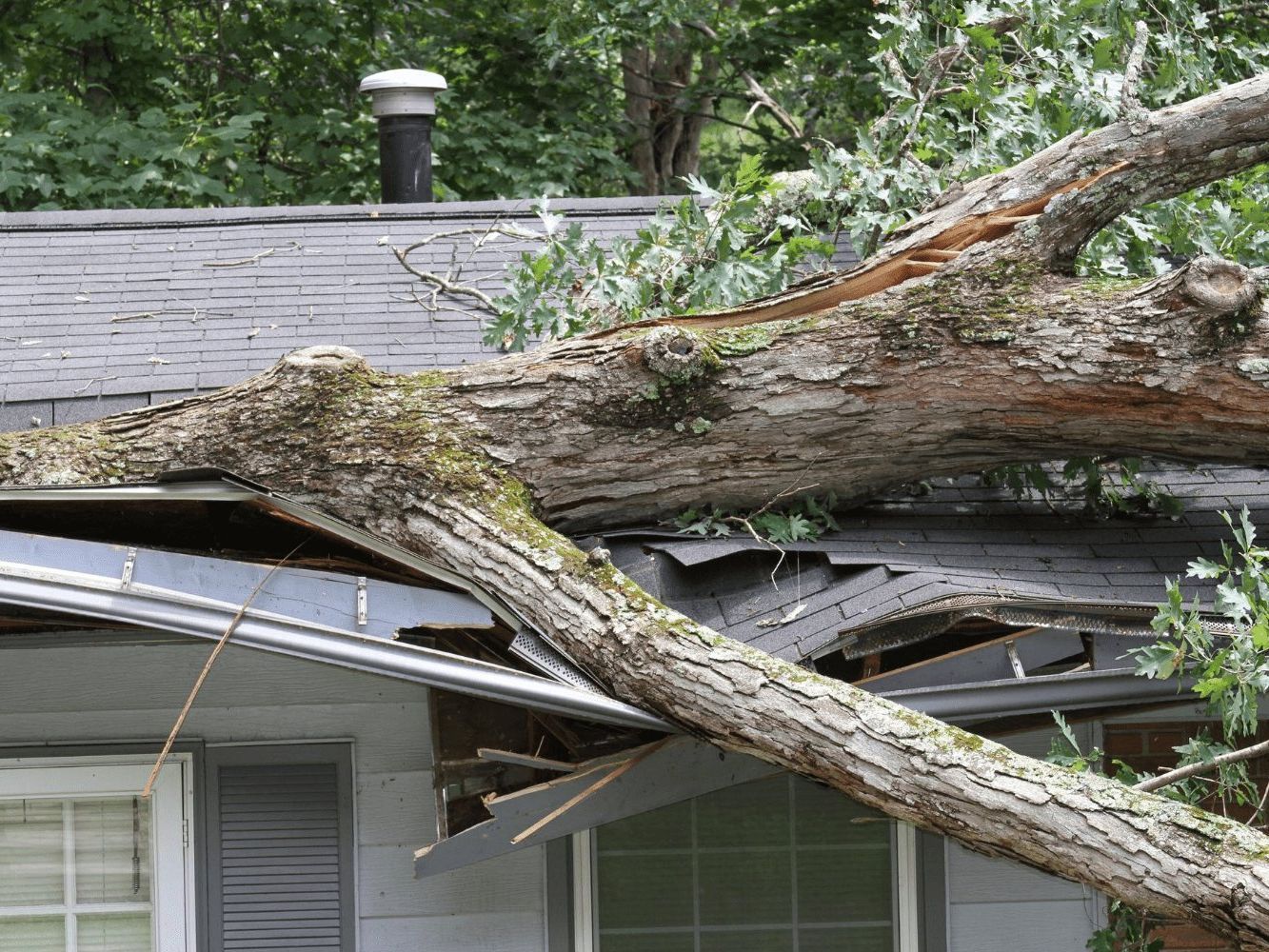 Storm Damage Restoration Stuart FL