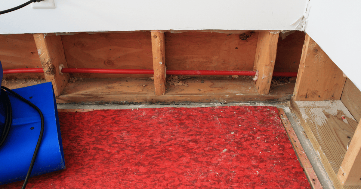 Professional Water Damage Cleanup Vs DIY Cleanup