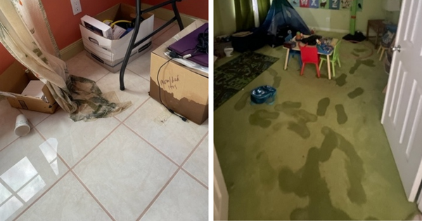 water damage cleanup