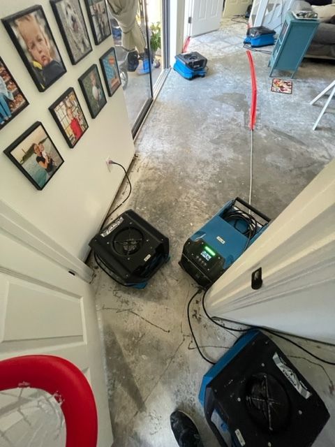 mold after storm