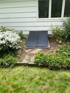 Black basement door set in concrete, surrounded by greenery and grass next to a white house with windows.