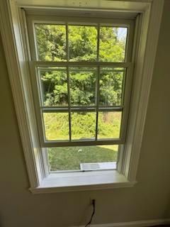 White window, nine panes, open to a green outdoor view, framed by white trim.