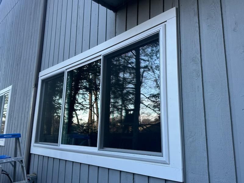 A multi-pane window with white trim on a gray siding wall reflecting trees and sky.