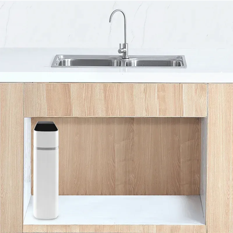 Kitchen sink with faucet above, water filter installed in the cabinet below, white and stainless steel.